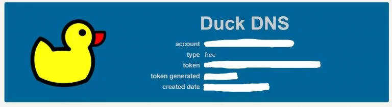 Imagen de DuckDNS